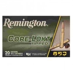 Remington 300 wm Core Lokt Tipped 180 Gr