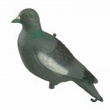 Cimbel Paloma torca