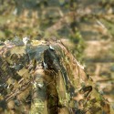 Tela camo 3d deluxe verde