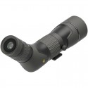 Telescopio LEUPOLD SX-2 Alpine HD 20-60x60 - 45º